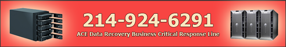 Emergency data recovery services
