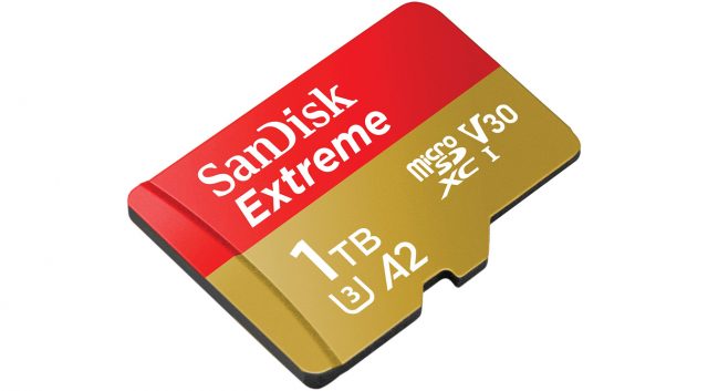 SanDisk 1TB microSD Cards