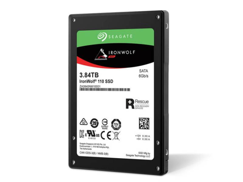 Seagate IronWolf 110