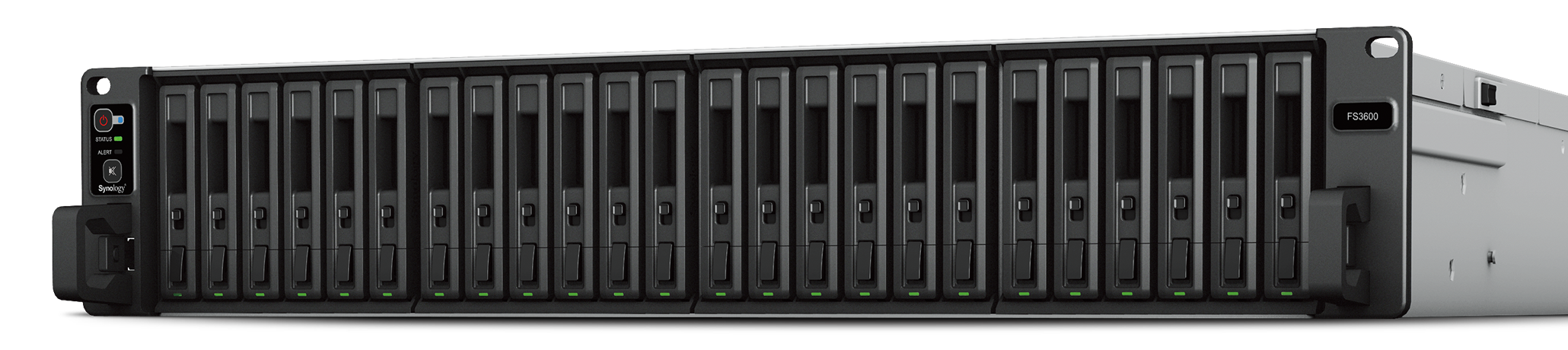 Synology FlashStation 3600 NAS Recovery