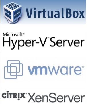 Virtualization Infrastructure Data Recovery Services Virtualization Infrastructure Data Recovery Services